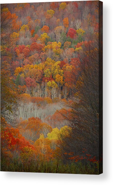 Fall Acrylic Print featuring the photograph Fall Tunnel by Raymond Salani III