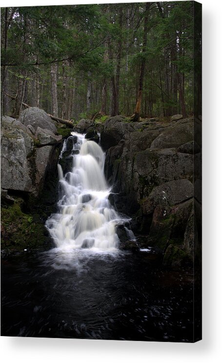 River Acrylic Print featuring the photograph Falling by Greg DeBeck