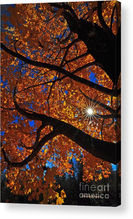 Kings Mountain Acrylic Print featuring the photograph Falling Star by Randy Rogers