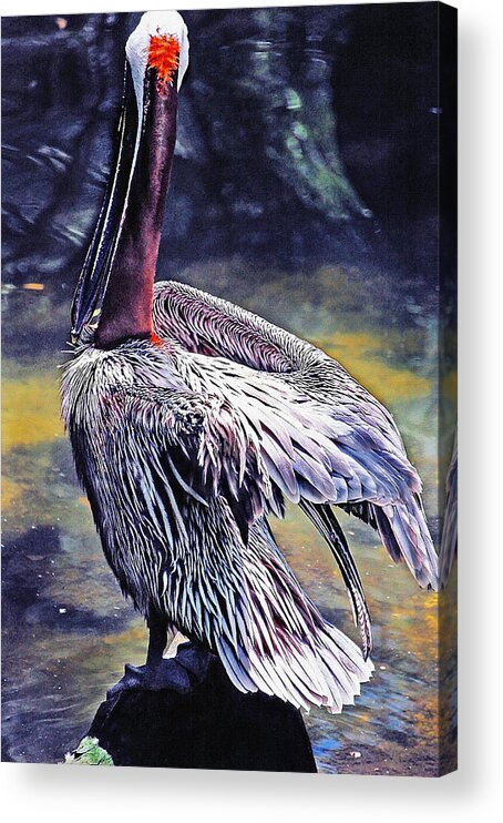 Brown Acrylic Print featuring the painting Feather Fluffing by Donna Proctor