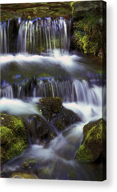 Water Acrylic Print featuring the photograph Fern Falls - 31 by Paul W Faust - Impressions of Light