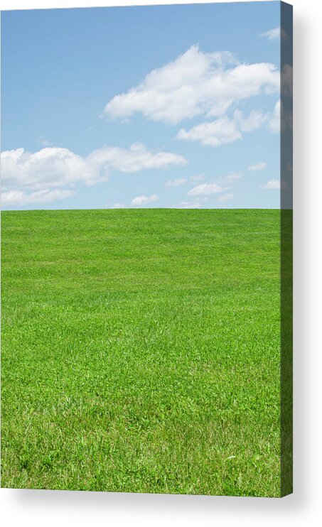 Scenics Acrylic Print featuring the photograph Field Of Grass And Clover by Nine Ok