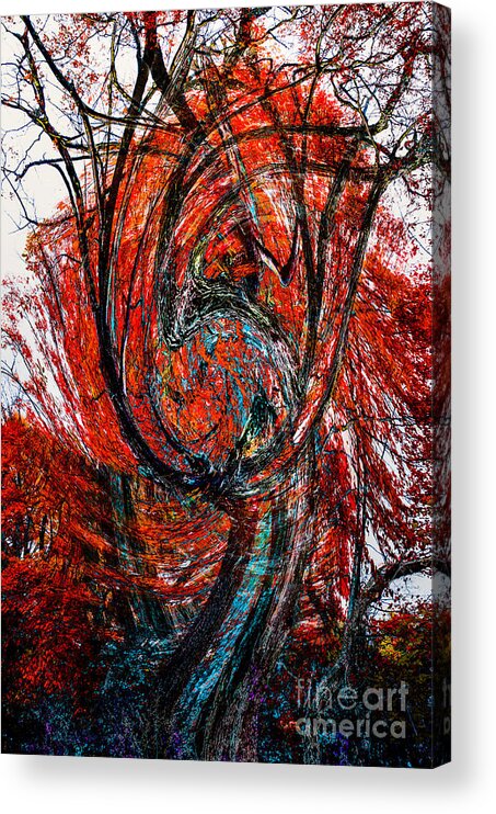 Fall2014 Acrylic Print featuring the photograph Fire Tree by Michael Arend