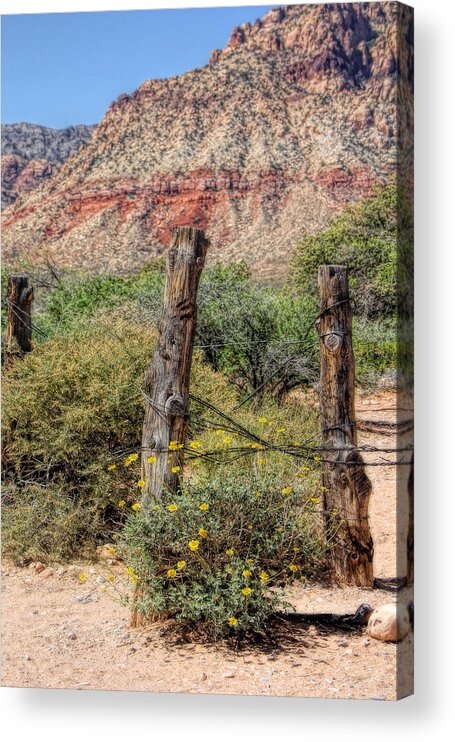 Wildflowers Acrylic Print featuring the photograph First Creek by Tammy Espino