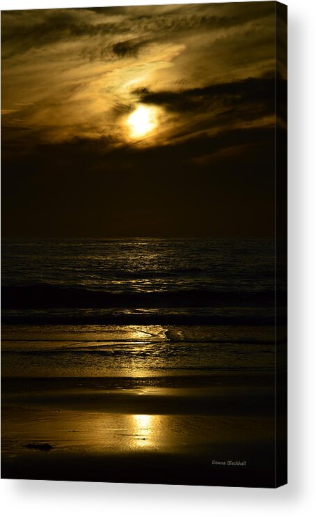 Day Acrylic Print featuring the photograph First Day by Donna Blackhall