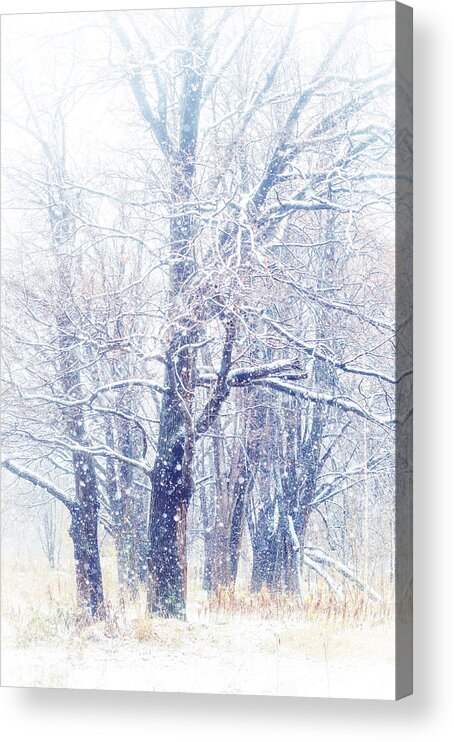 Snow Acrylic Print featuring the photograph First Snow. Dreamy Wonderland by Jenny Rainbow