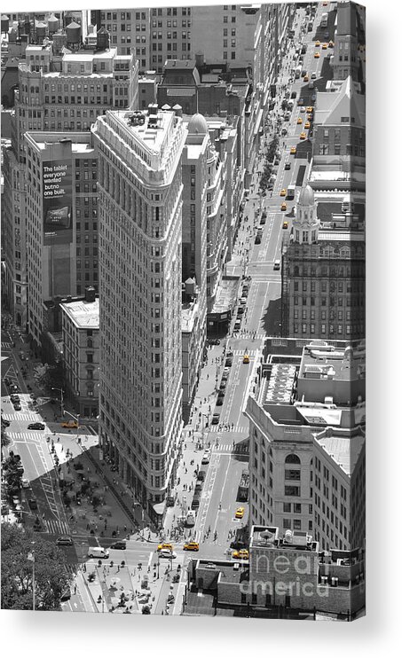 New_york Acrylic Print featuring the photograph Flatiron Building by Randi Grace Nilsberg