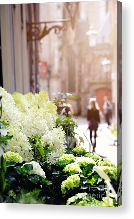 Stall Acrylic Print featuring the photograph Flower stall in sunlight by Jane Rix