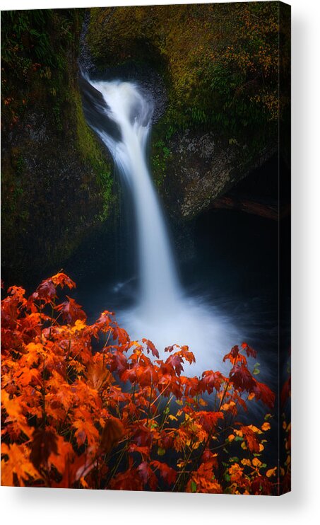 Waterfall Acrylic Print featuring the photograph Flowing into Fall by Darren White
