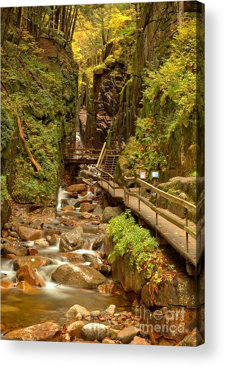 Flume Gorge Acrylic Print featuring the photograph Flume Gorge At Franconia Notch by Adam Jewell