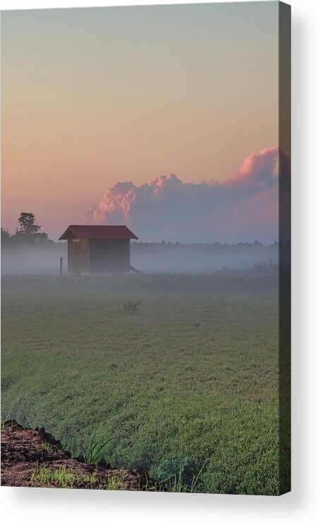 Whitesbog Acrylic Print featuring the photograph Fog Rolling Over the Bogs at Sunset by Beth Venner