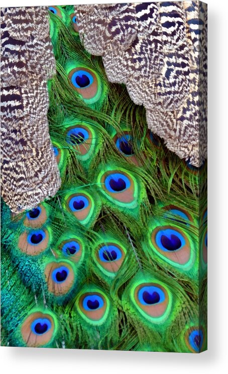 Large Acrylic Print featuring the mixed media Folded Wings by Angelina Tamez