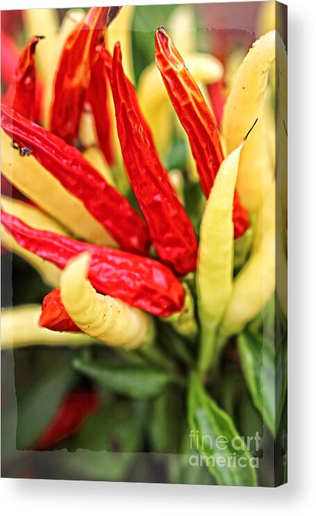 Food Acrylic Print featuring the photograph Food Art - Red and Yellow by Ella Kaye Dickey