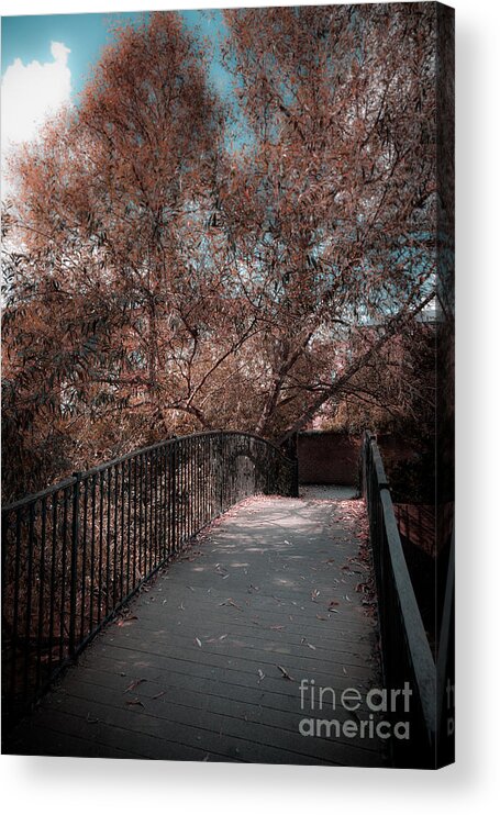 Portrait Format Acrylic Print featuring the photograph Footbridge in soft autumn by Peter Noyce