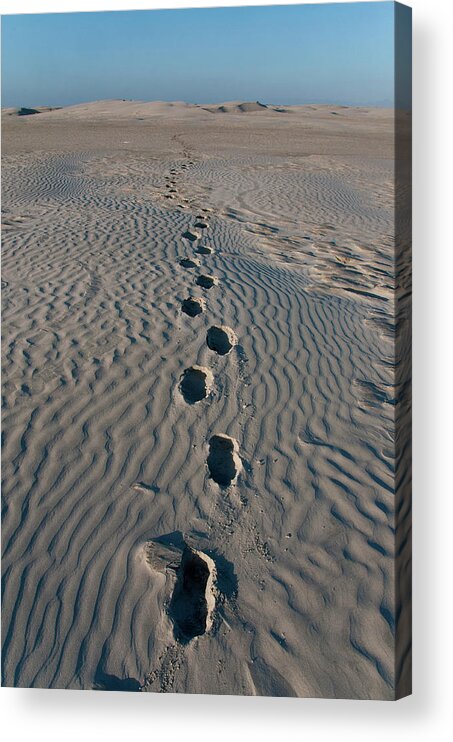 Tranquility Acrylic Print featuring the photograph Footprints In Sand Dunes Along Scammons by Mark Newman