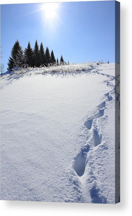 Snow Acrylic Print featuring the photograph Footprints in the Snow by Penny Meyers