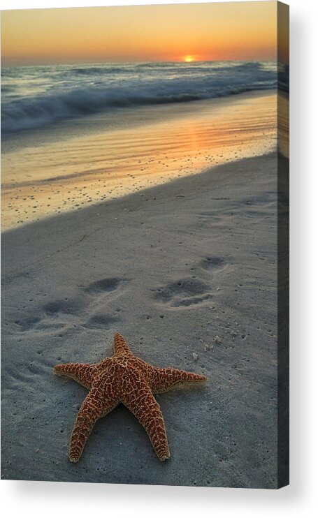 Starfish Acrylic Print featuring the photograph Footsteps by Darylann Leonard Photography