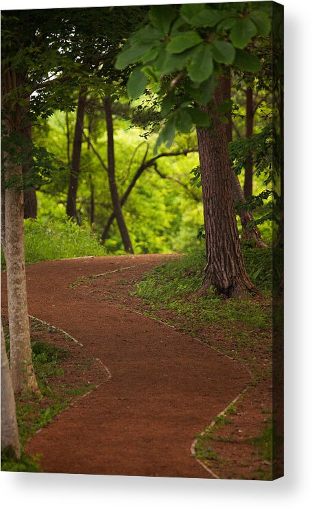 Forest Acrylic Print featuring the photograph Forest Path by Brad Brizek