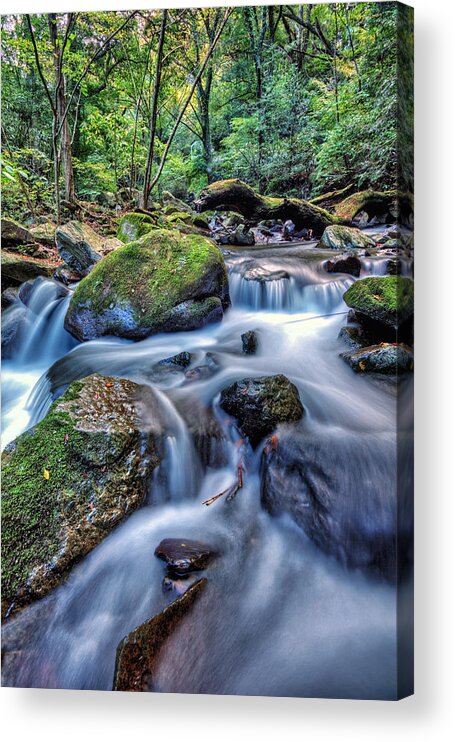  Water Waterfall Nature River Green Fall Forest Cascade Blue Tree Beautiful Beauty Stream Vacation Rock Fresh Natural Plant Landscape Clean Outdoors Health Stone Flow Wet Drop Spring Mountain Environment Splash Acrylic Print featuring the photograph Forest Waterfall by John Swartz