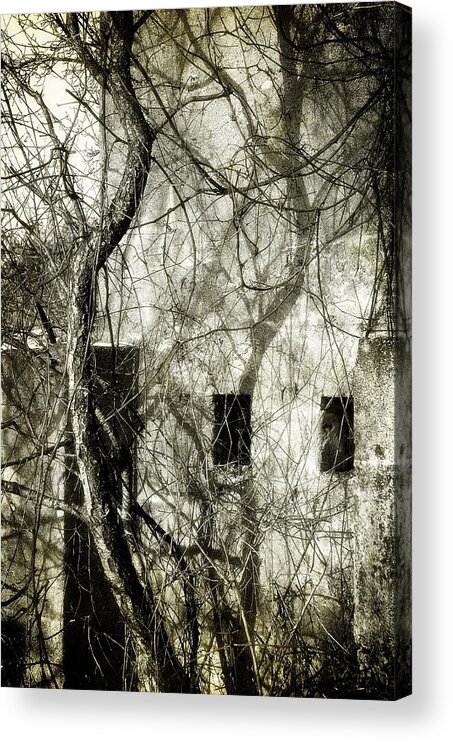 Fletchers Creek Acrylic Print featuring the photograph Fortress IV by Alan Norsworthy