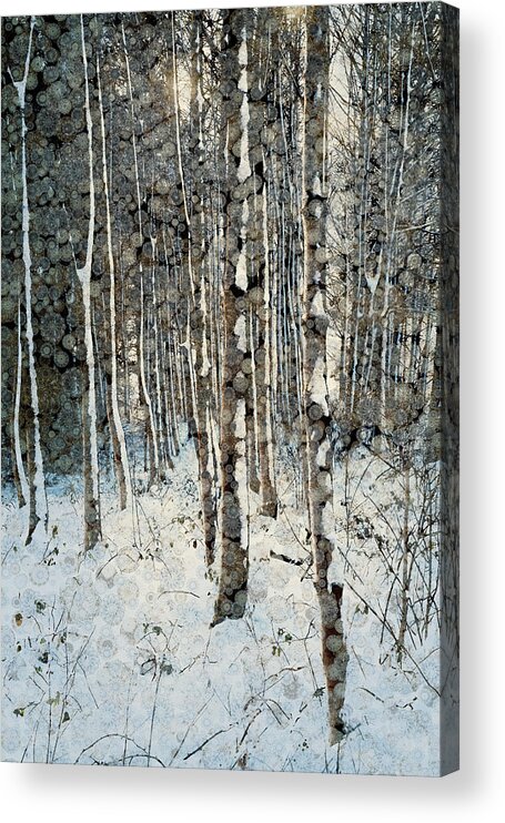 Tranquility Acrylic Print featuring the digital art Frosty Winter Trees At Dawn by Andrew Bret Wallis