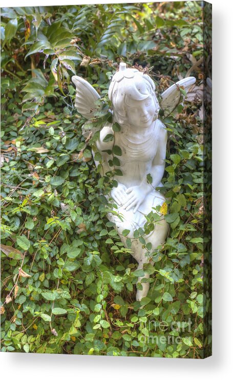 Vine Acrylic Print featuring the photograph Garden Angel by Ules Barnwell