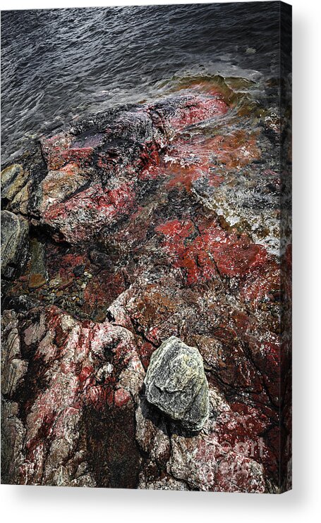 Rocks Acrylic Print featuring the photograph Georgian Bay rocks abstract III by Elena Elisseeva