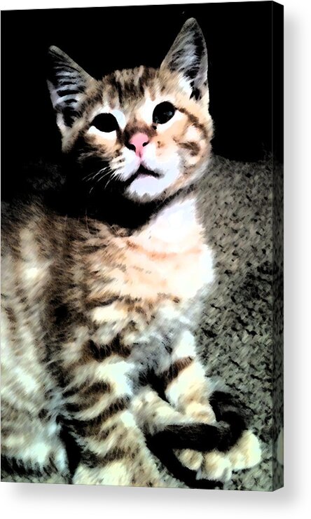 Cat Acrylic Print featuring the digital art Ginger by Eric Forster