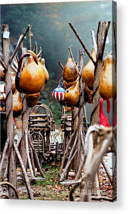 Gourds Acrylic Print featuring the photograph Gourds 2002 by Matthew Turlington