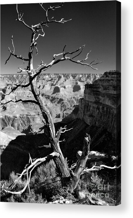 Grand Canyon Bw Acrylic Print featuring the photograph Grand Canyon BW by Patrick Witz