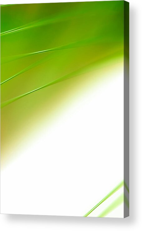 Abstract Acrylic Print featuring the photograph Green River by Dazzle Zazz