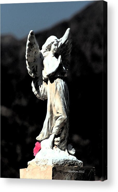 Baja Acrylic Print featuring the photograph Guardian Angel by Dick Botkin