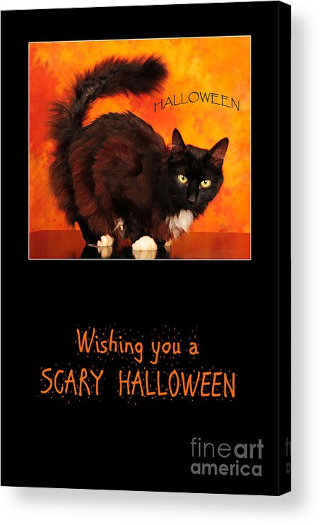 Scary Acrylic Print featuring the photograph Halloween Cat by Randi Grace Nilsberg