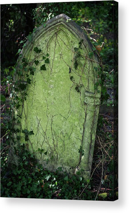 Horror Acrylic Print featuring the photograph Halloween Tombstone Vine Covered by Peskymonkey
