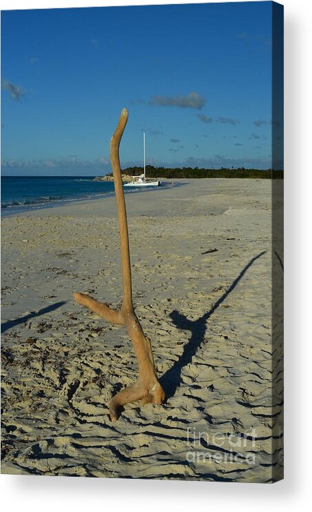 Beach Acrylic Print featuring the photograph Handstand by Judy Wolinsky