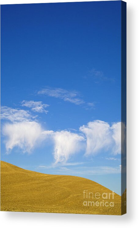00431173 Acrylic Print featuring the photograph Harvested Wheat Fields Palouse Hills by Yva Momatiuk John Eastcott