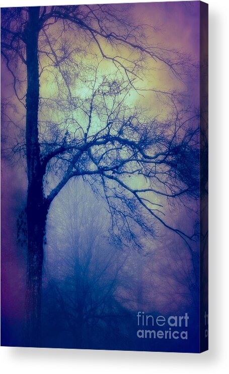 Haunting Acrylic Print featuring the photograph Haunted Branches by Judi Bagwell