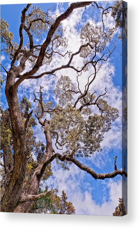 Clouds Acrylic Print featuring the photograph Hawaiian Sky by Jim Thompson