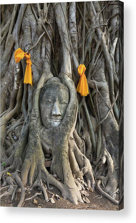 Thai Acrylic Print featuring the photograph Head of The Sand Stone Buddha Image by Tosporn Preede
