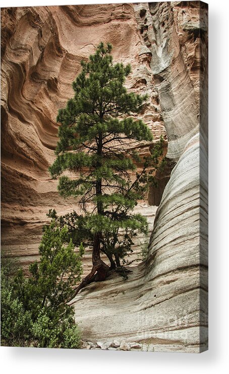 Heart Acrylic Print featuring the photograph Heart of the Canyon by Terry Rowe