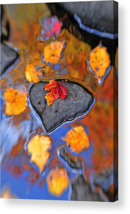 Joseph Rossbach Acrylic Print featuring the photograph Heart Rock Reflections by Joseph Rossbach