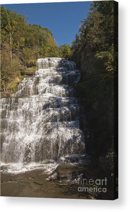 Water Acrylic Print featuring the photograph Hector Falls by William Norton