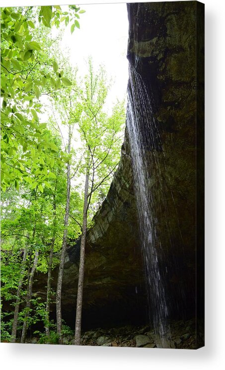 Waterfall Acrylic Print featuring the photograph Hideout Hollow 2 by Laureen Murtha Menzl