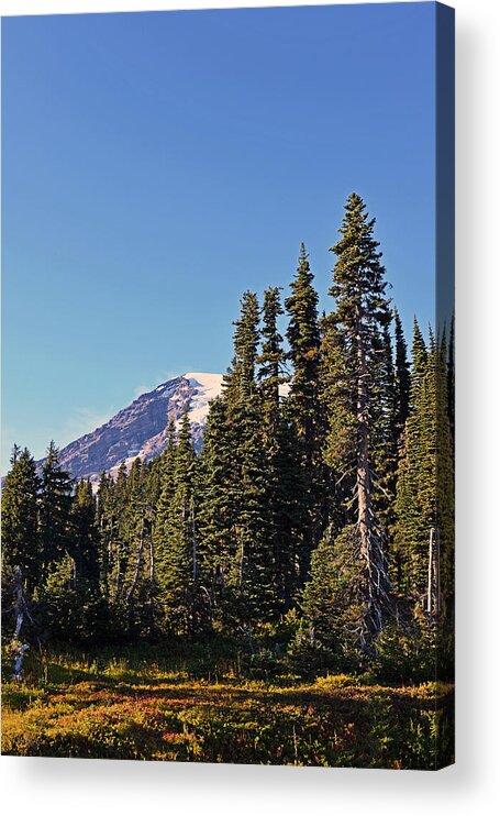 Fall Acrylic Print featuring the photograph High Country by Anthony Baatz