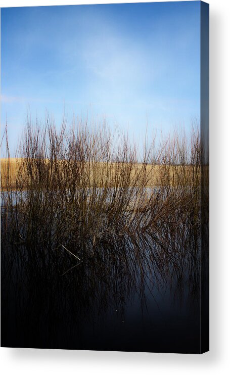 Landscapes Acrylic Print featuring the photograph Highway Seven by J C