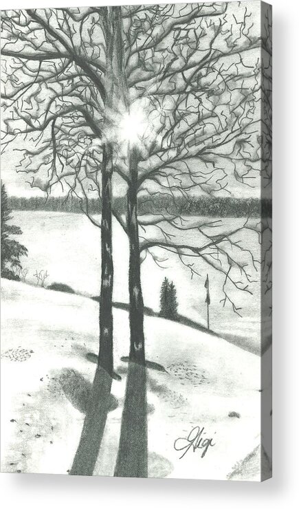Sunshine Acrylic Print featuring the drawing Hope of Spring by Gigi Dequanne
