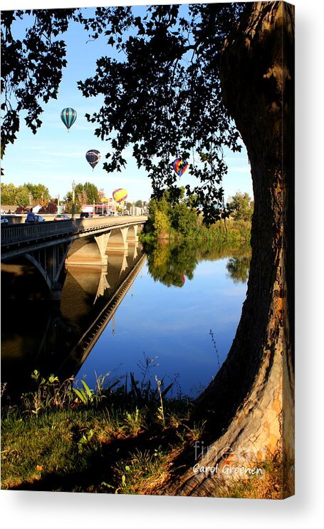 Prosser Acrylic Print featuring the photograph Hot Air Balloons through Tree by Carol Groenen