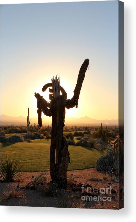 Arizona Acrylic Print featuring the photograph Howdy Stranger Welcome by Wendelin Dunlap