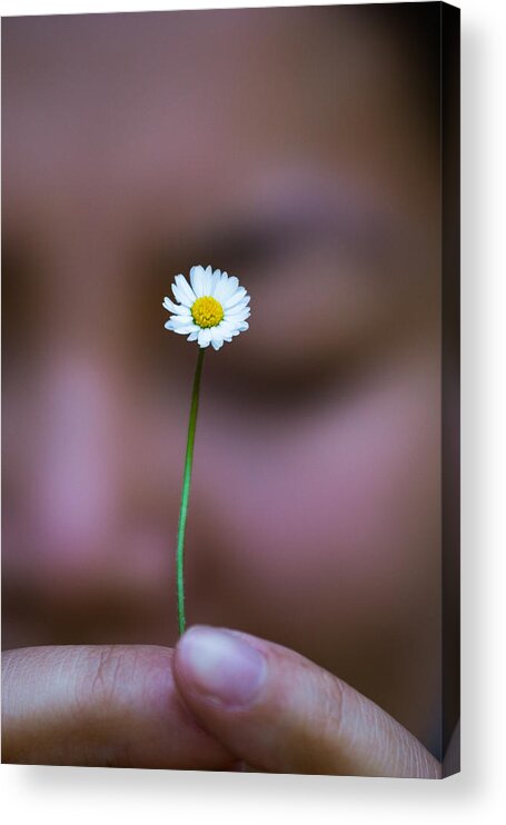 Daisy Acrylic Print featuring the photograph I Praise Thee Daisy by Mike Lee
