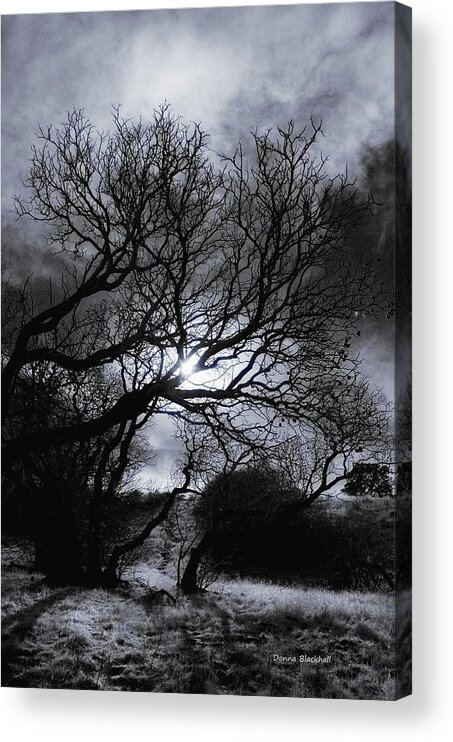 Legend Acrylic Print featuring the photograph Ichabod's Pathway by Donna Blackhall